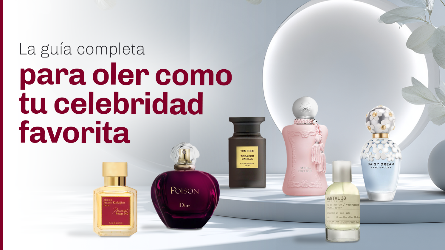 Guía Completa Para Oler Como Tu Celebridad Favorita