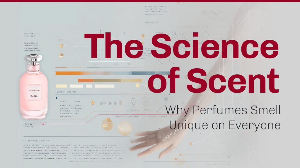 Fandom Scent The Science of Scent: Why Perfumes Smell Unique on Everyone | PLA