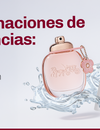 Combinaciones de Fragancias: Mezclas Que Huelen Increíble