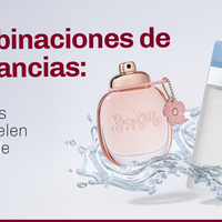 Combinaciones de Fragancias: Mezclas Que Huelen Increíble