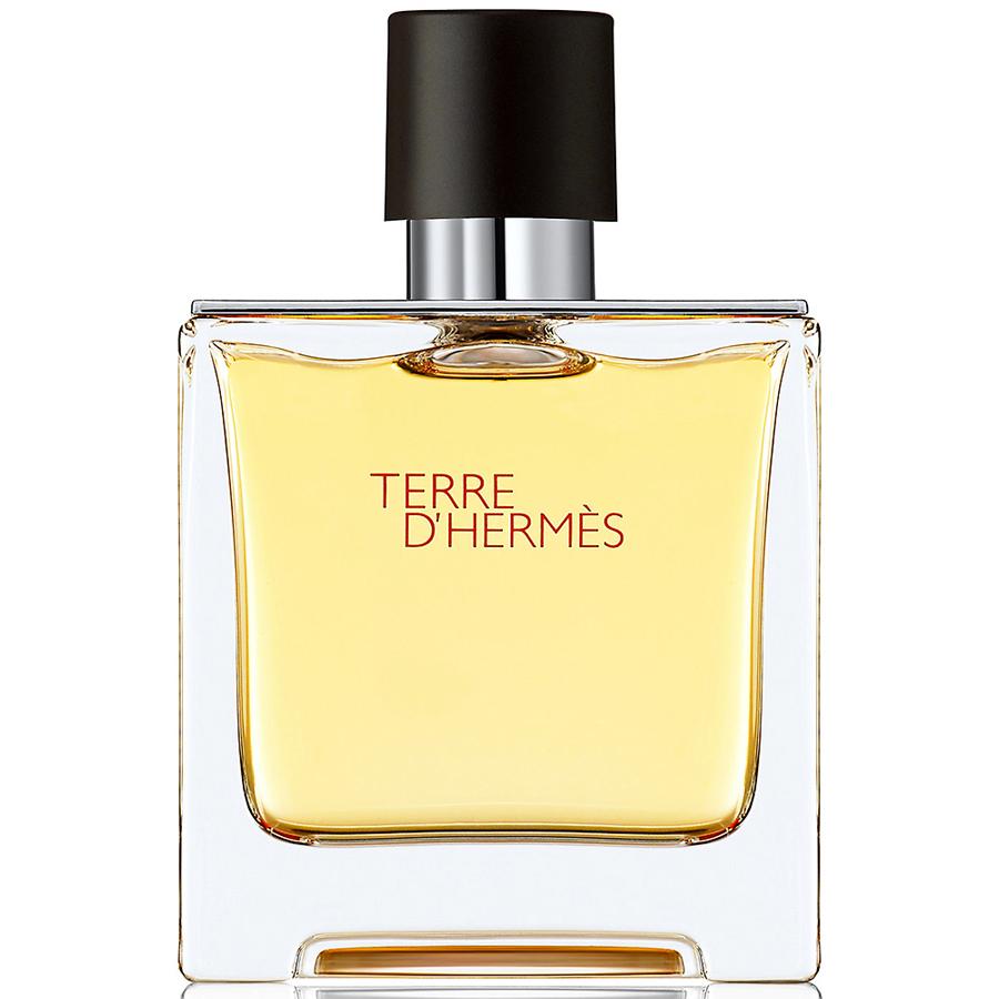 Foto de Terre D'Hermes Parfum de Hermes para hombres EDP en aerosol de 2,7 oz